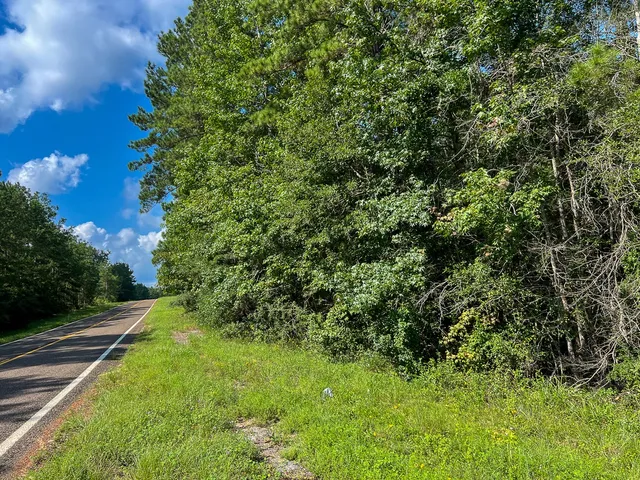 $44,000 | 1 Fm 2939, Newton, TX 75966