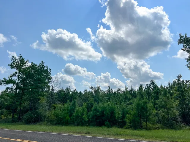 $44,000 | 1 Fm 2939, Newton, TX 75966