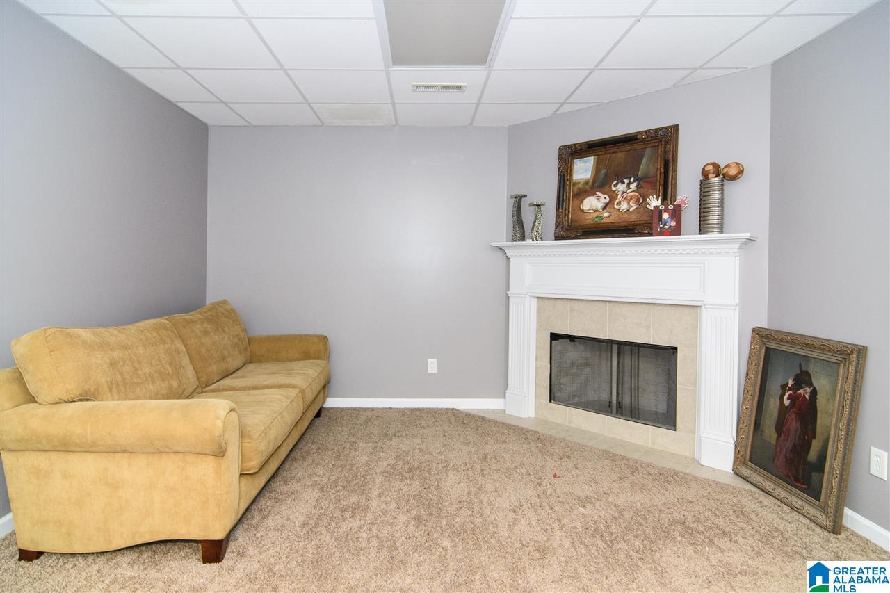 450 Levine Road Odenville, AL 35120 - Photo 21 of 26