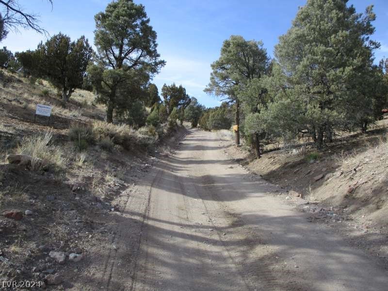 322 (13.753 Ac) Pioche, NV 89043 - Photo 2 of 12