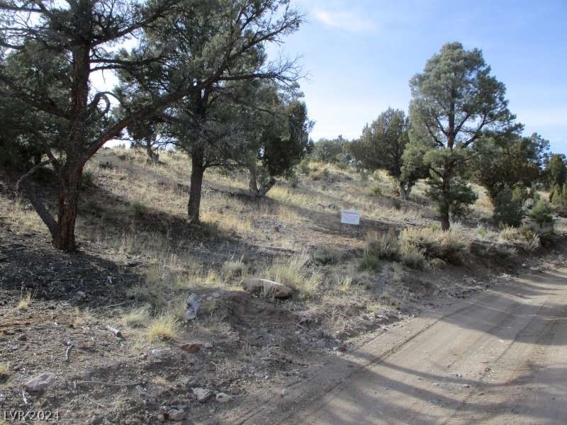 322 (13.753 Ac) Pioche, NV 89043 - Photo 3 of 12