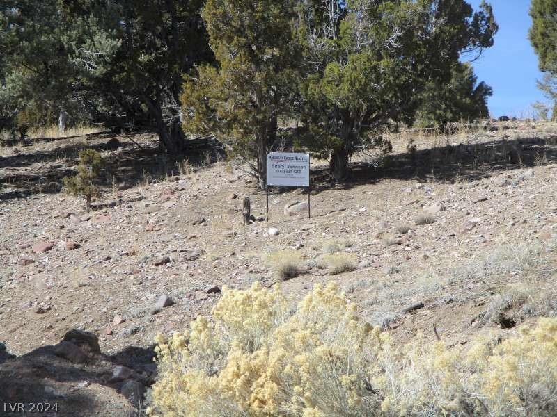 322 (13.753 Ac) Pioche, NV 89043 - Photo 10 of 12