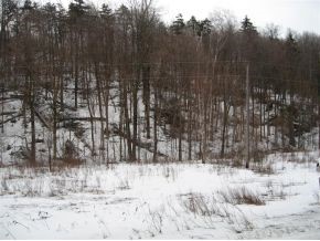 Lot #2 Gore Road Starksboro, VT 05487 - Photo 7 of 8 Gallery Image 7