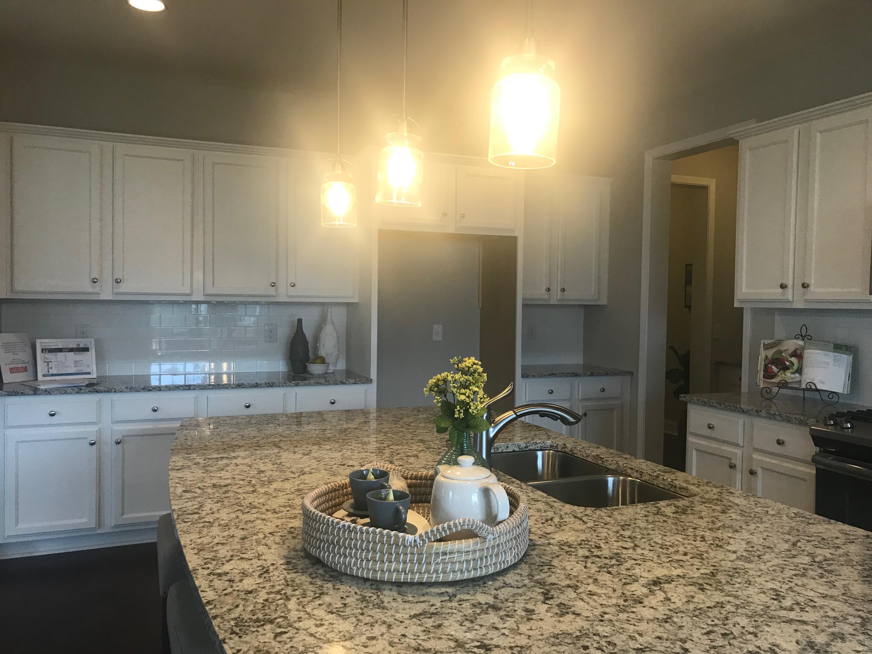 127 Ricewood Lane Moncks Corner, SC 29461 - Photo 22 of 43 LS33 Kitchen 05