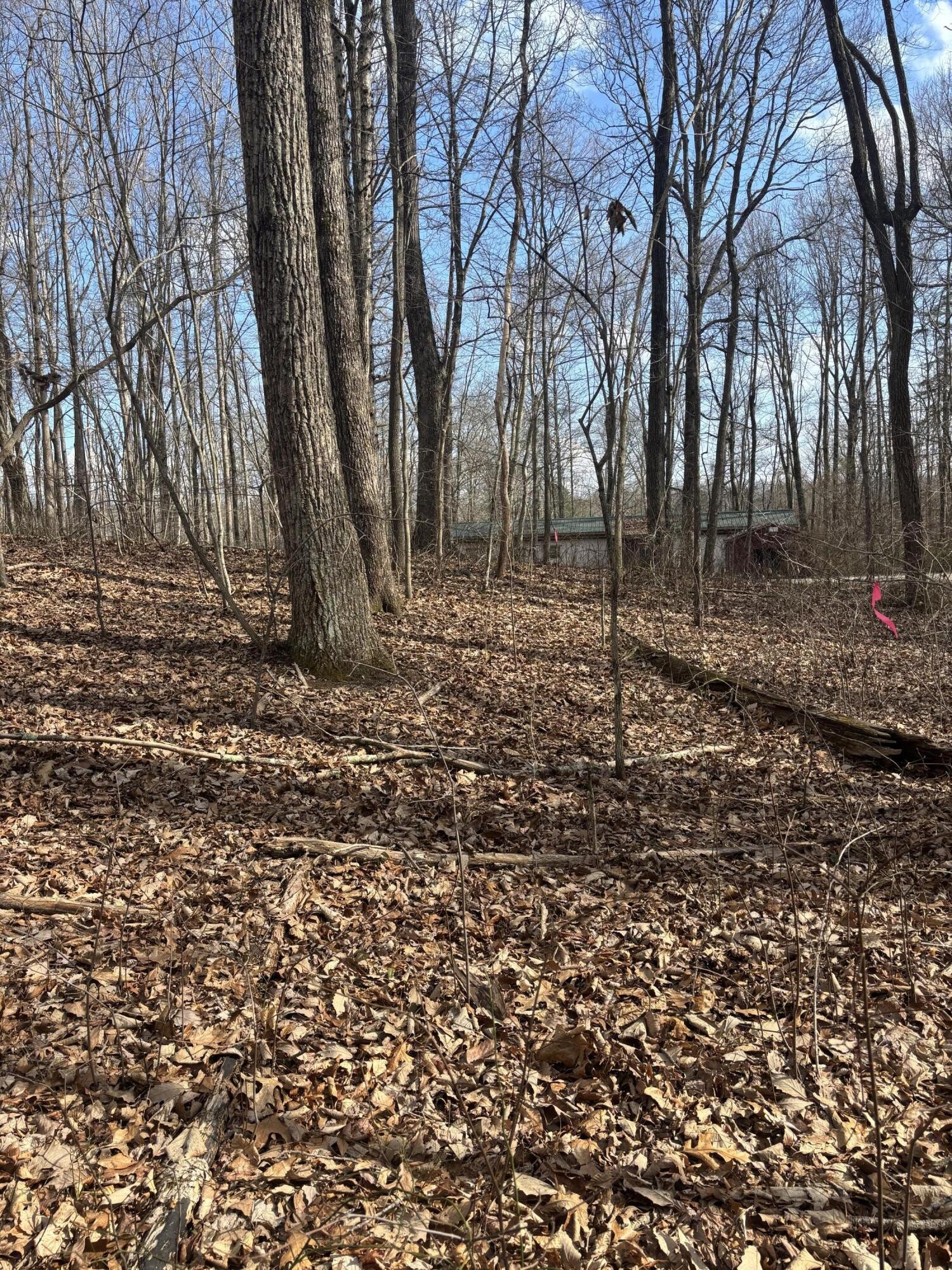 161 Quail Lane Dunlap, TN 37327 - Photo 6 of 8 a backyard of a house with lots of green space