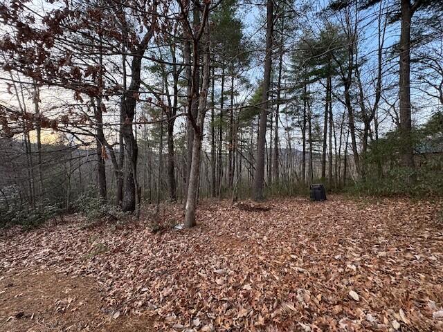 117 Windchase Trail Woolwine, VA 24185 - Photo 42 of 46 53