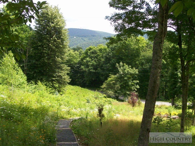 186 Harper Trail Boone, NC 28607 - Photo 37 of 46