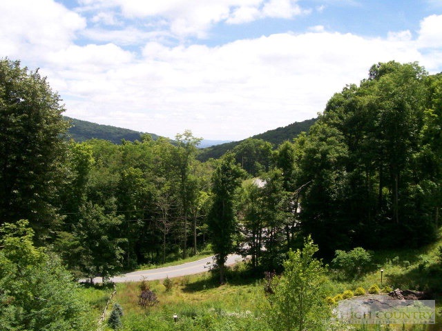 186 Harper Trail Boone, NC 28607 - Photo 41 of 46 a view of a yard