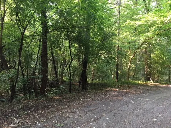 a view of outdoor space and green space