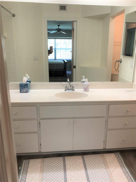 7867 Southwest 115th Loop Ocala, FL 34476 - Photo 32 of 40 a bathroom with a sink and a mirror