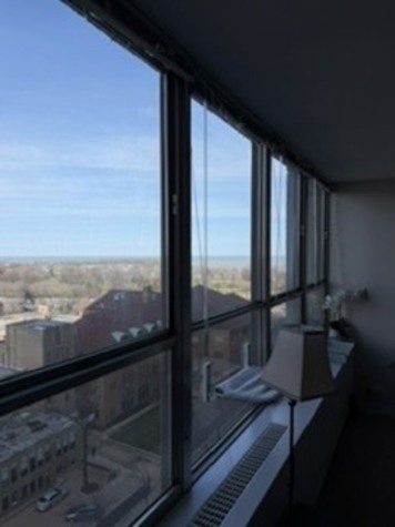 655 West Irving Park Road, Unit 1104 Chicago, IL 60613 - Photo 9 of 16