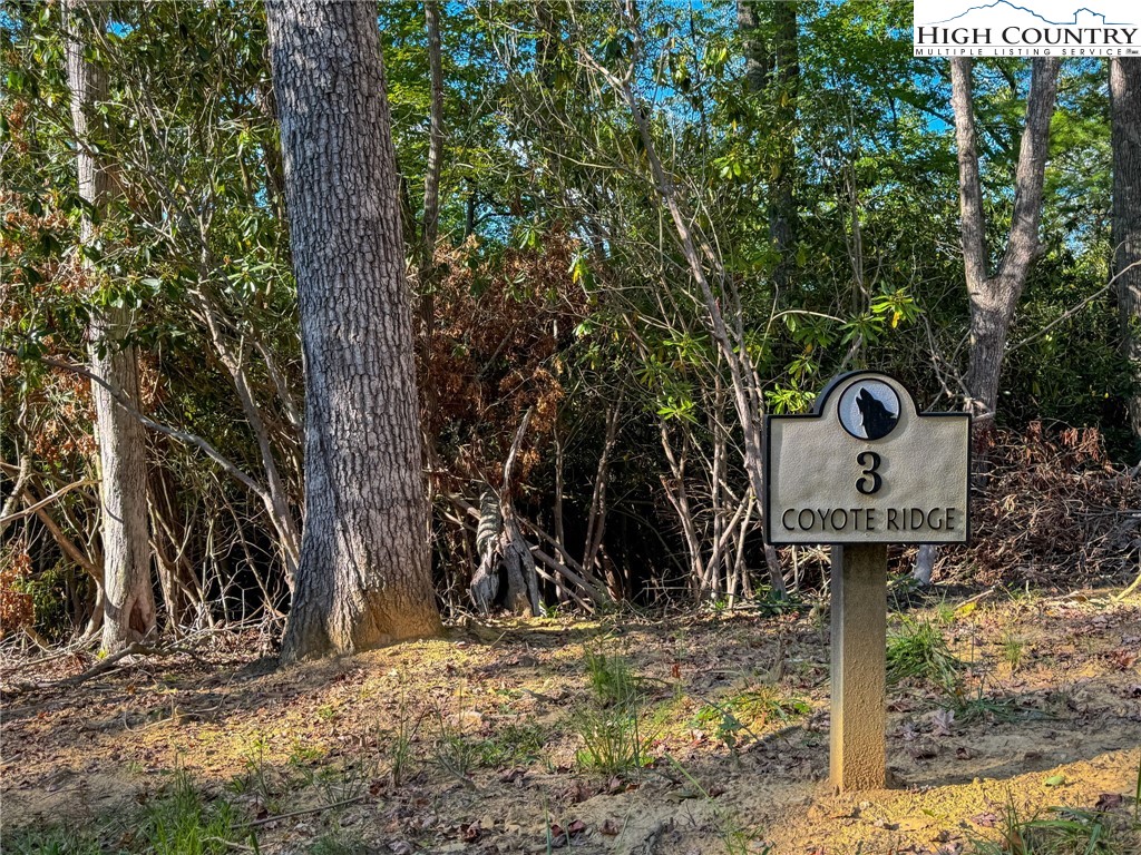a front view of a house with trees