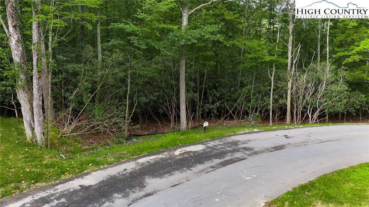 Lot R3 Coyote Trail Boone, NC 28607 - Photo 11 of 15 a view of a park