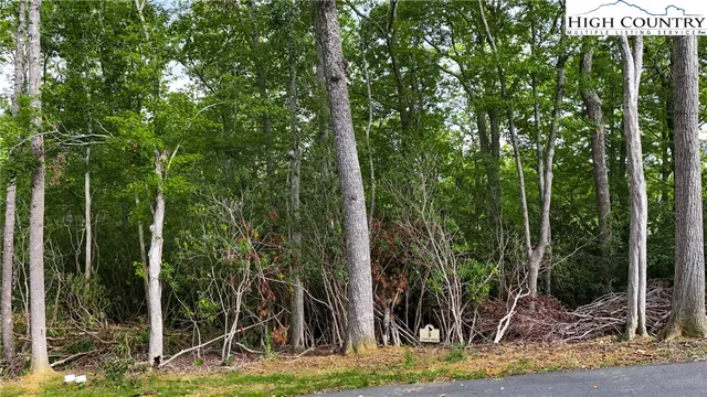 a view of outdoor space and garden