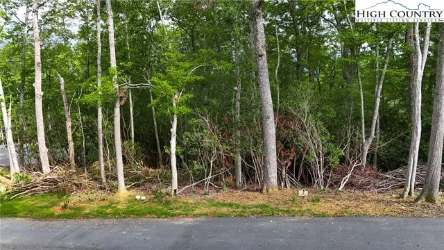 a backyard of a house with lots of green space and trees