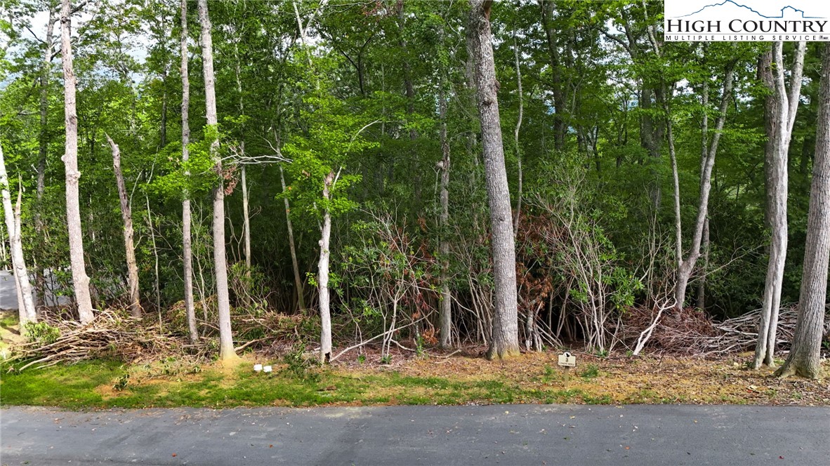 Lot R3 Coyote Trail Boone, NC 28607 - Photo 14 of 15 a backyard of a house with lots of green space and trees