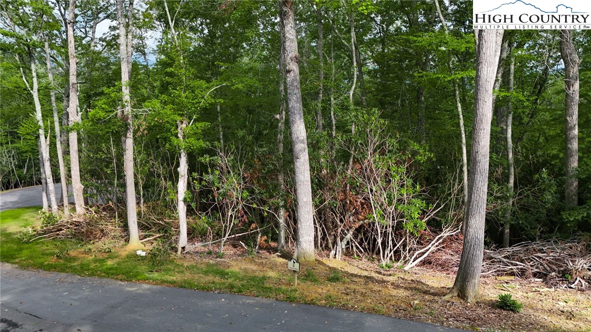 Lot R3 Coyote Trail Boone, NC 28607 - Photo 15 of 15 a backyard of a house with plants and tree