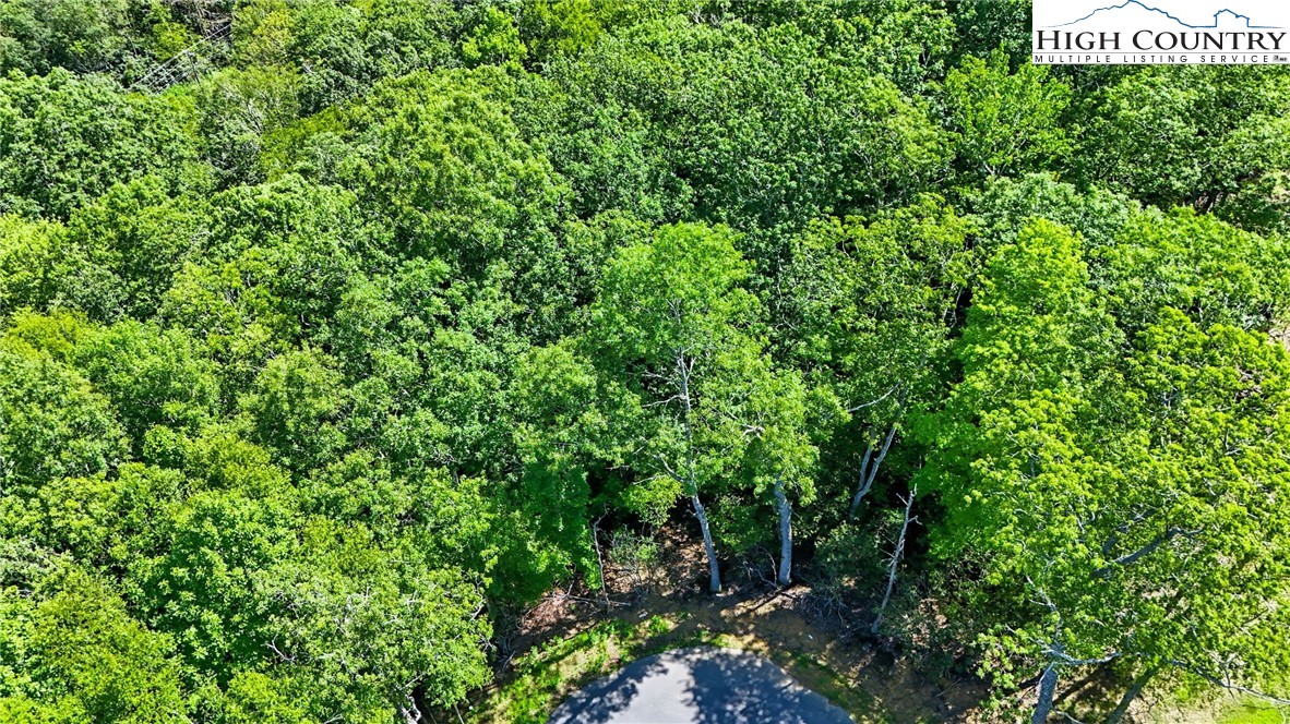 Lot R3 Coyote Trail Boone, NC 28607 - Photo 8 of 15 a view of a lush green forest