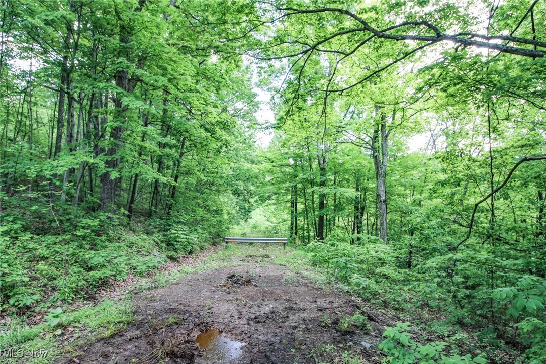 19 Zion Ridge Road Marietta, OH 45750 - Photo 2 of 19 View of tree filled area