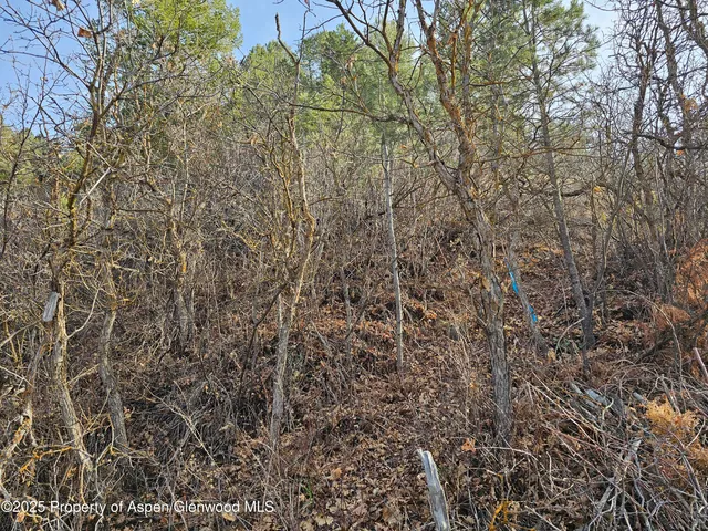 $1,200,000 | Tbd Tbd Various Glenwood Springs, Glenwood Springs, CO 81601