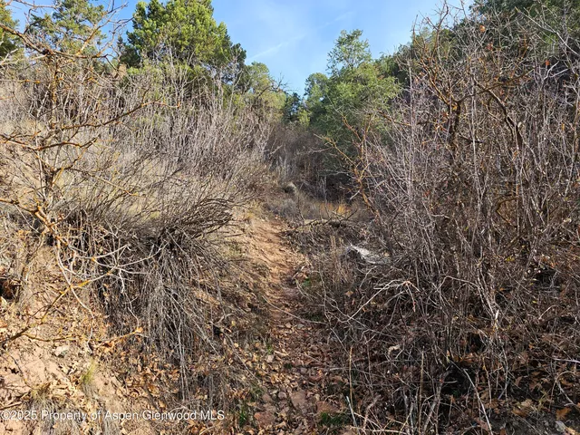 $1,200,000 | Tbd Tbd Various Glenwood Springs, Glenwood Springs, CO 81601