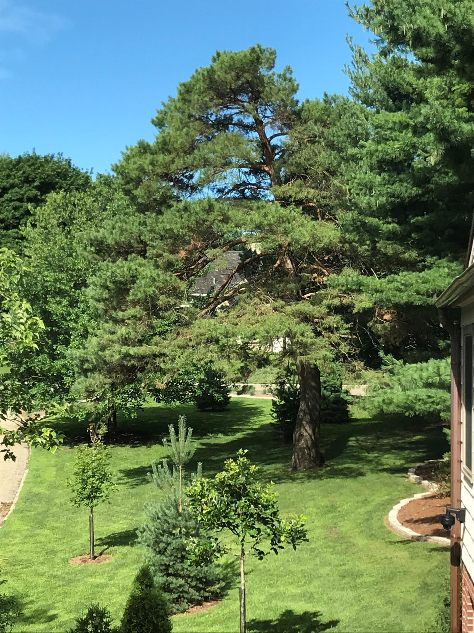 900 12th Avenue Southwest Rochester, MN 55902 - Photo 38 of 49