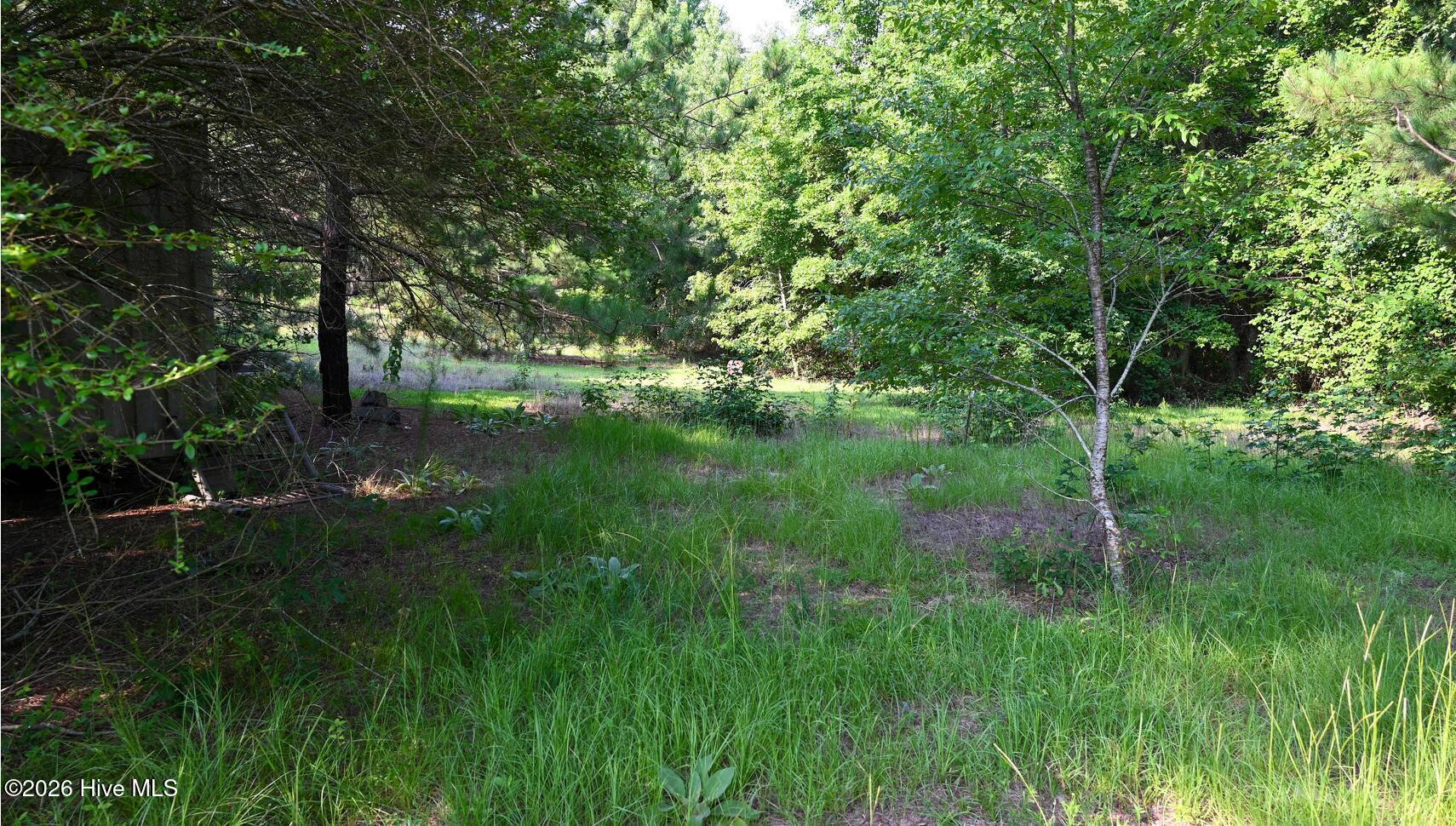84 Jo62 Rockingham, NC 28379 - Photo 6 of 8 Gallery Image 6