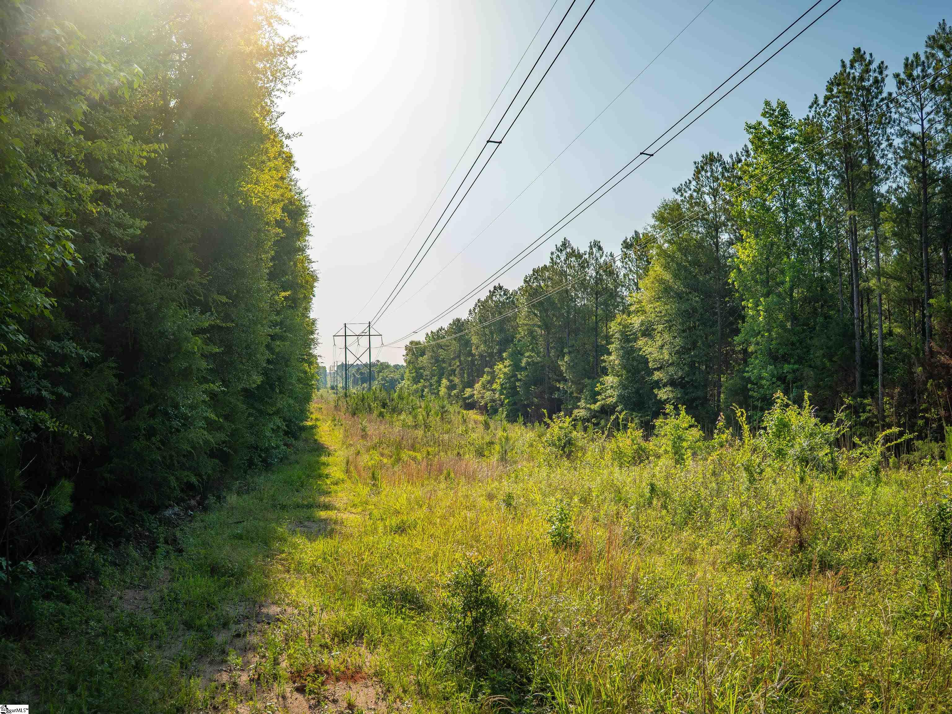 1332 Arnold Lane Waterloo, SC 29384 - Photo 21 of 40
