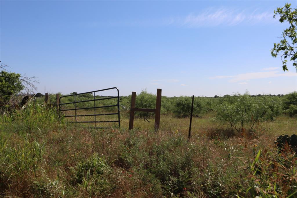 807 County Road 215 Rising Star, TX 76471 - Photo 6 of 9 a view of a water pond with green space