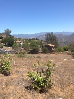 3130 Sumac Road Fallbrook, CA 92028 - Photo 5 of 13