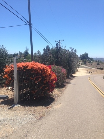 3130 Sumac Road Fallbrook, CA 92028 - Photo 7 of 13