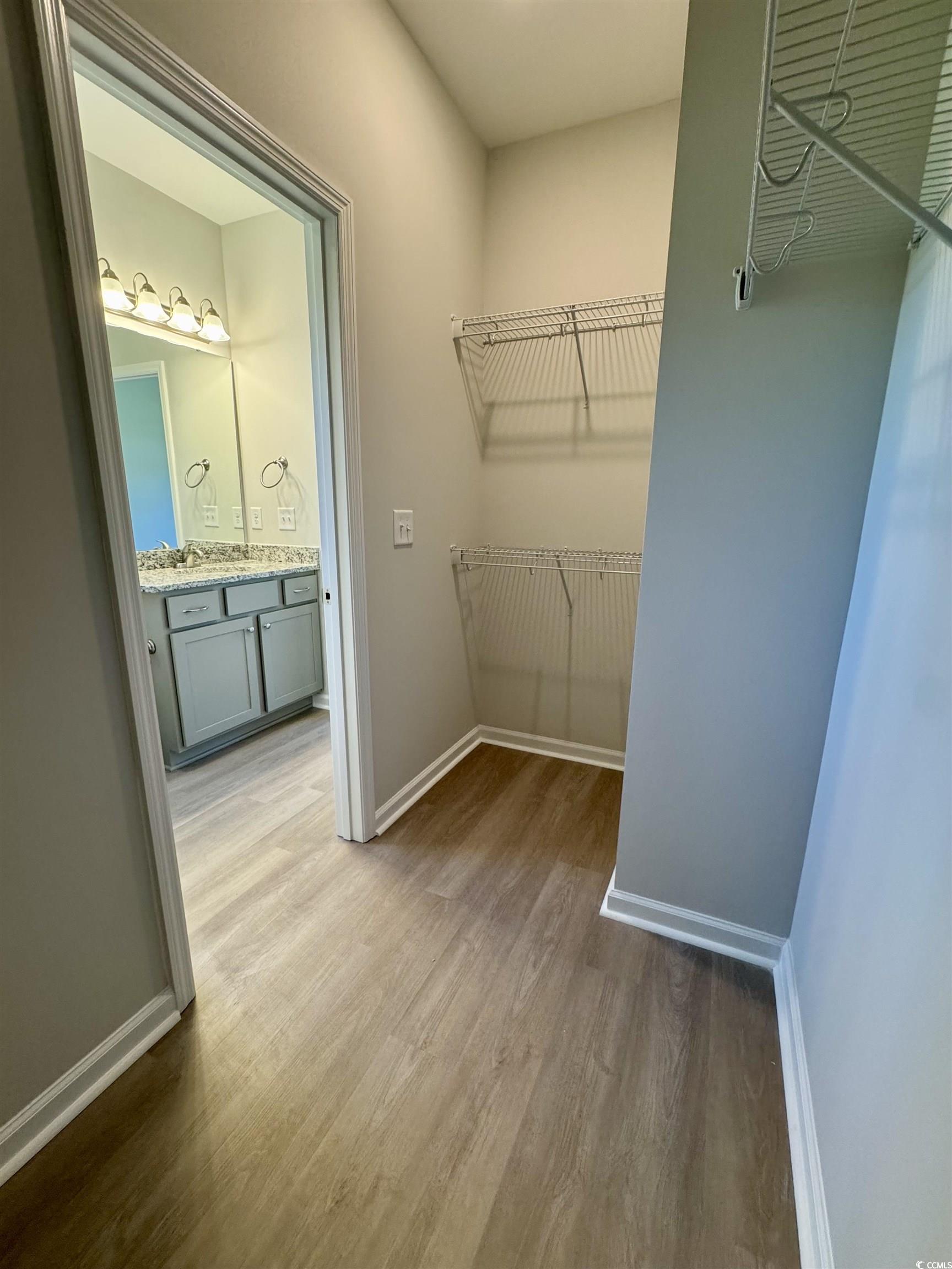 600 Shallow Cv Drive Conway, SC 29527 - Photo 8 of 14 Spacious closet featuring dark wood-style floors