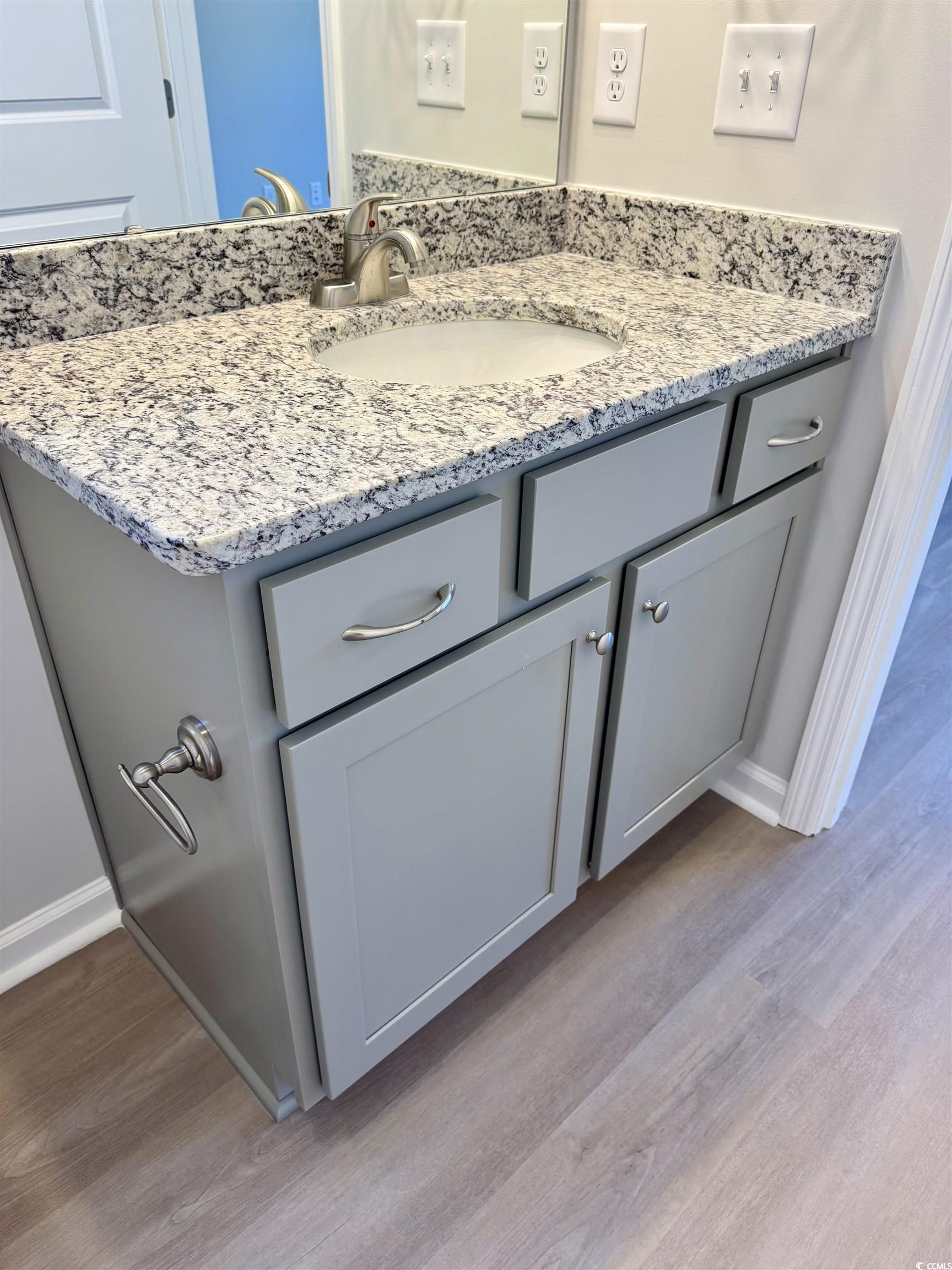600 Shallow Cv Drive Conway, SC 29527 - Photo 10 of 14 Bathroom view of vanity and wood finished floors