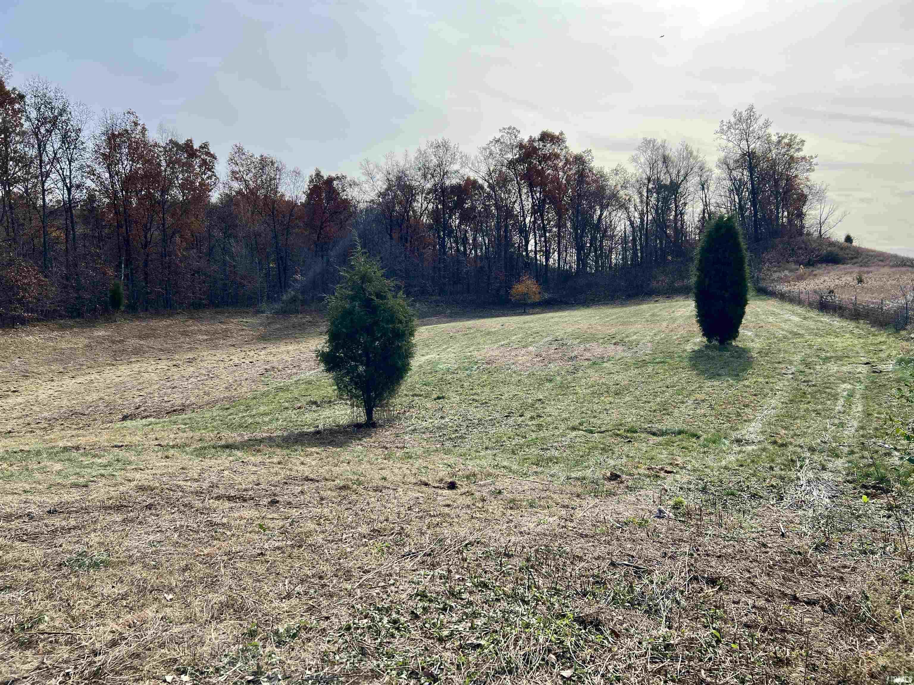 Off South Off S S Main Eckerty, IN 47116 - Photo 14 of 19