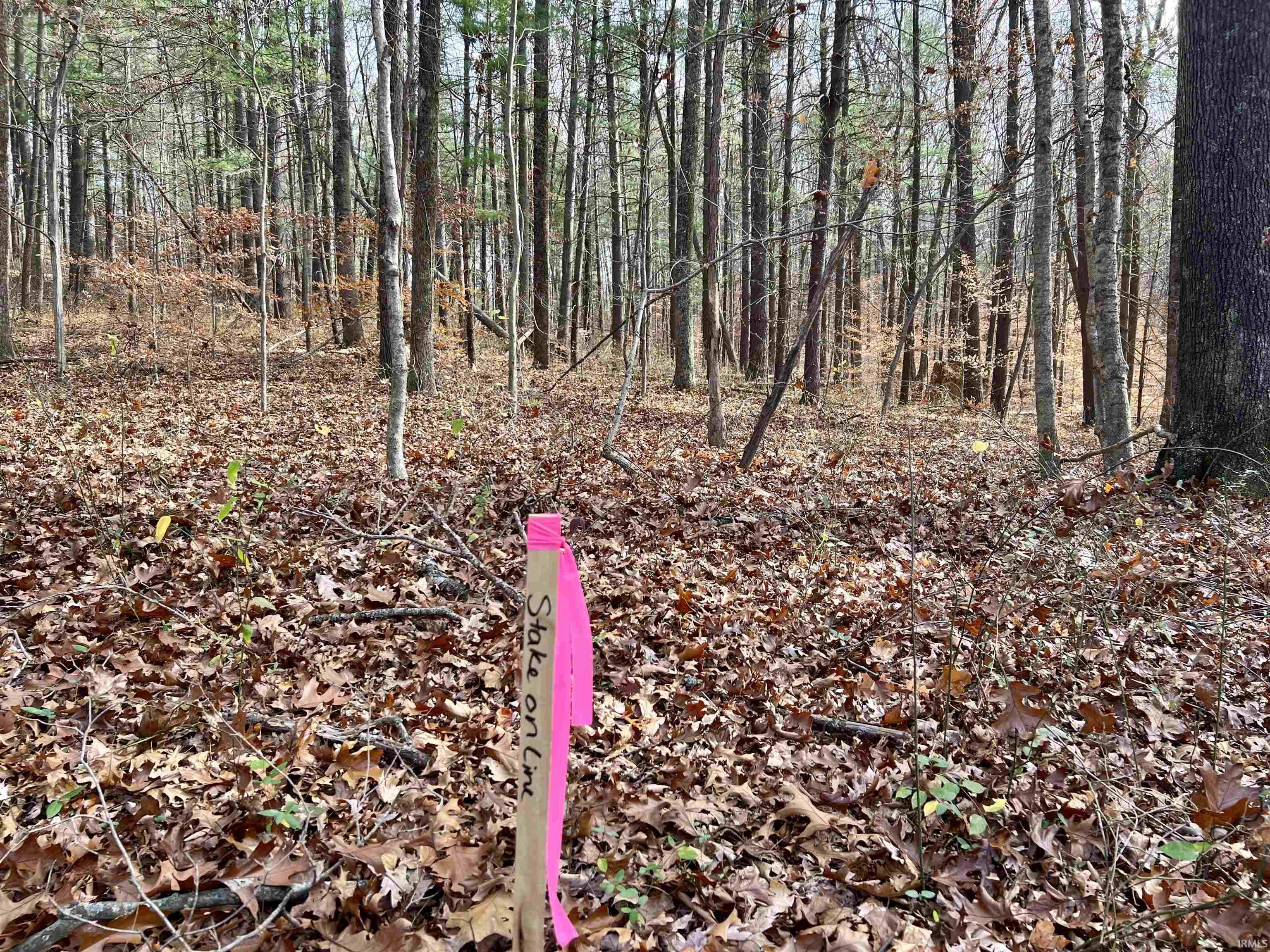 Off South Off S S Main Eckerty, IN 47116 - Photo 19 of 19