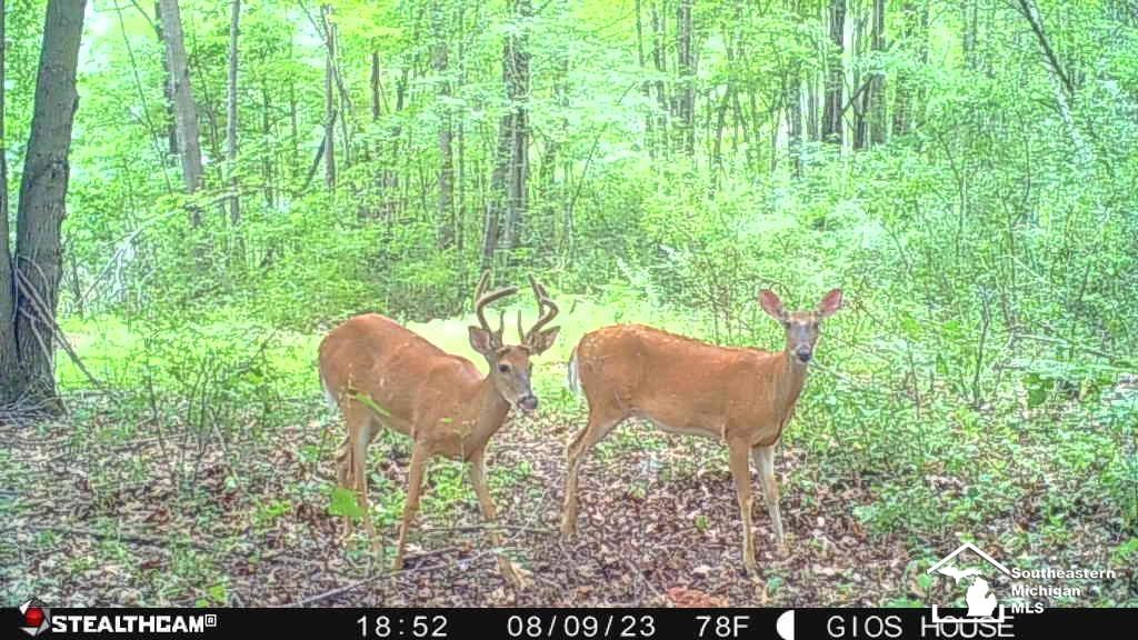 2293 Steiner Road Monroe, MI 48162 - Photo 99 of 99 Gallery Image 99