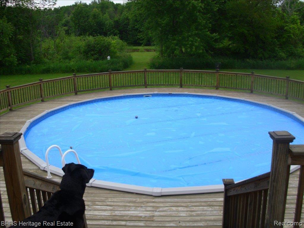5457 Hogback Road Fowlerville, MI 48836 - Photo 11 of 18 Pool