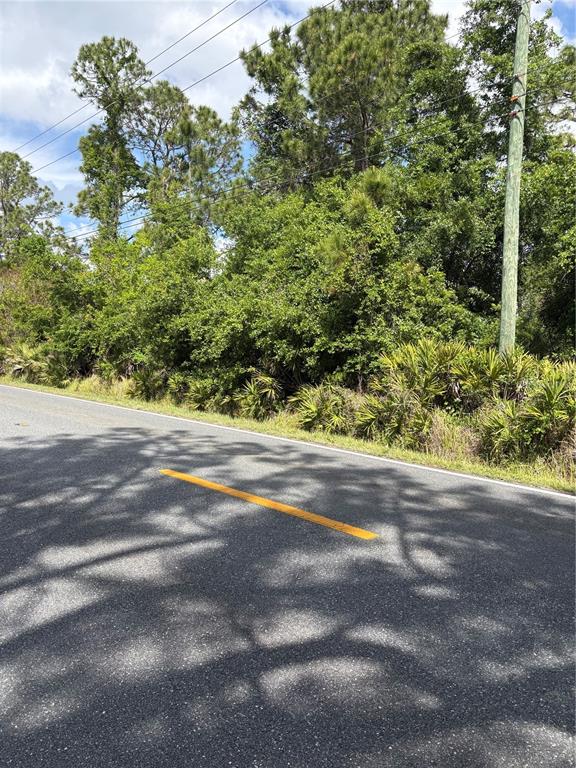 East Osceola Road Geneva, FL 32732 - Photo 2 of 4