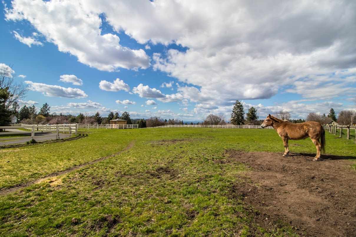 9226 East Morgan Road Spokane, WA 99217 - Photo 19 of 20