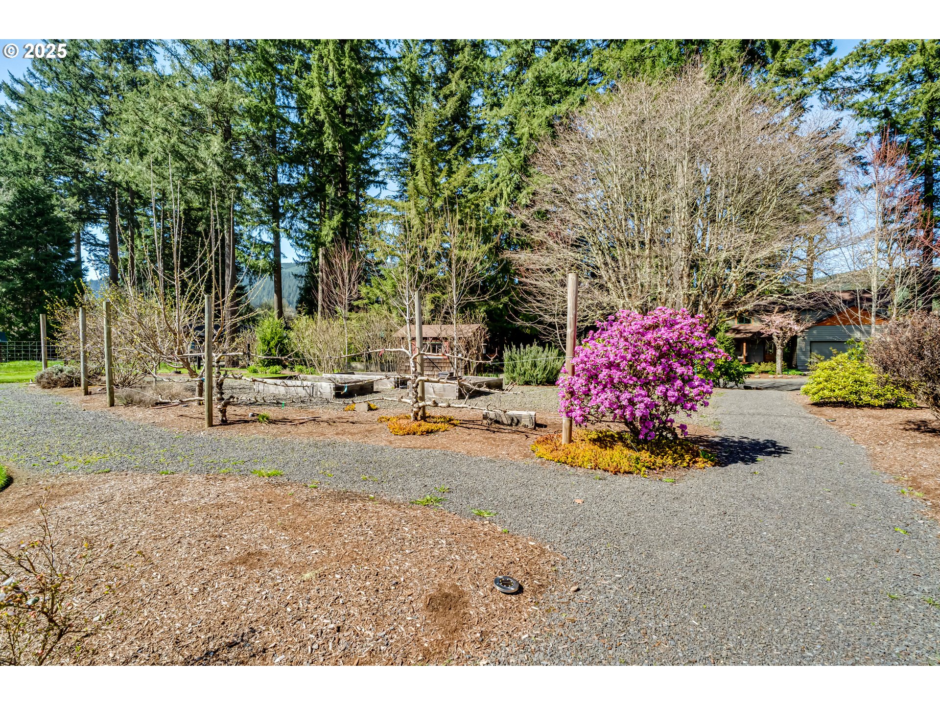 43081 Deerhorn Road Springfield, OR 97478 - Photo 10 of 45