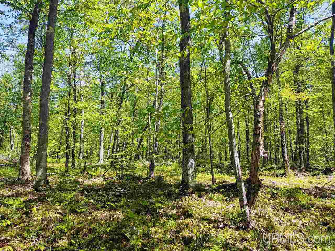 Tbd-parcel Point Abbaye Road Lanse, MI 49946 - Photo 1 of 25