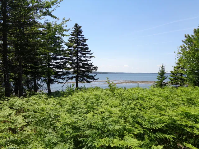 $425,000 | 143 B Rocky Gulch Road, Steuben, ME 04680