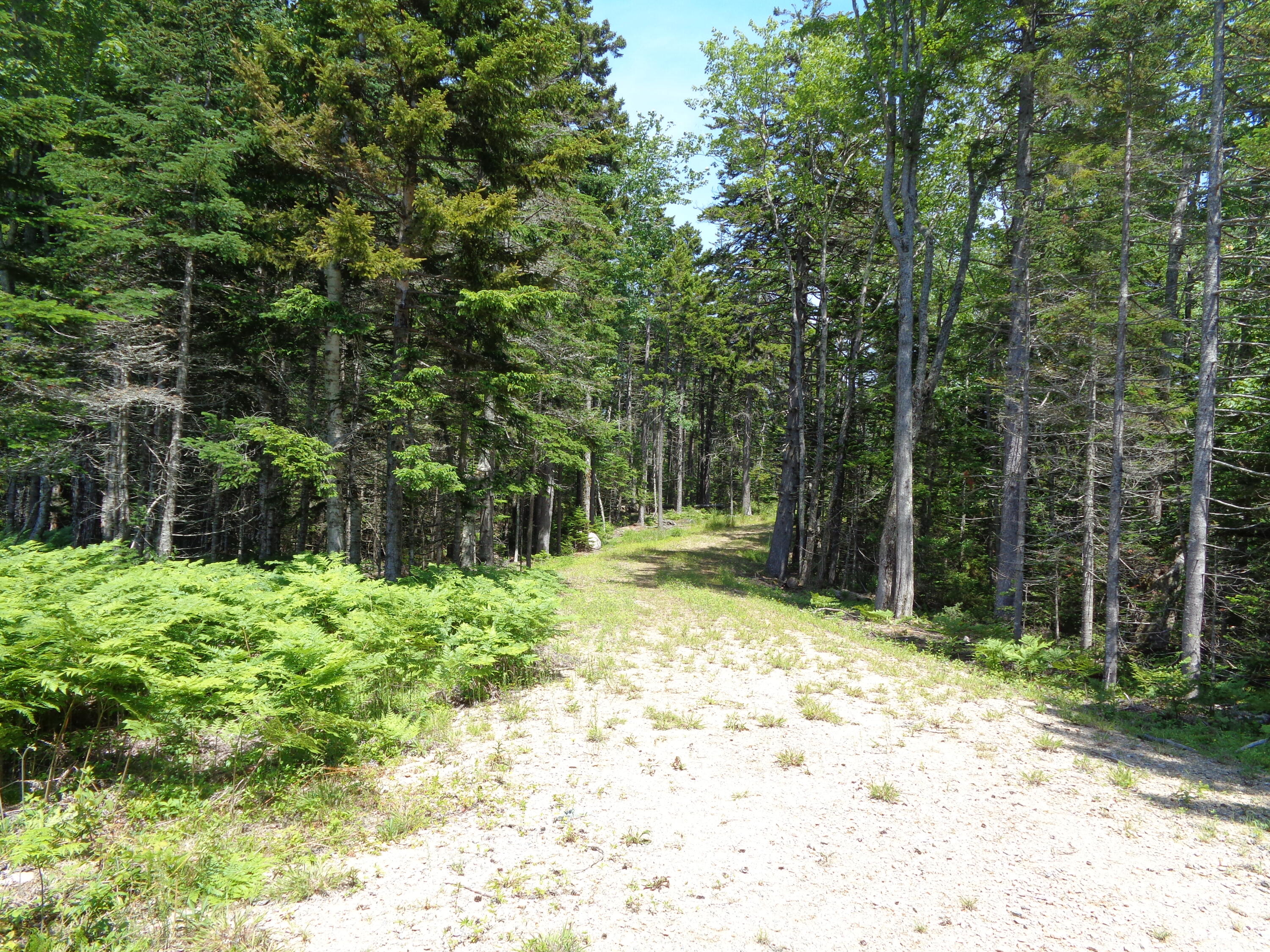 143 B Rocky Gulch Road Steuben, ME 04680 - Photo 13 of 30 Driveway