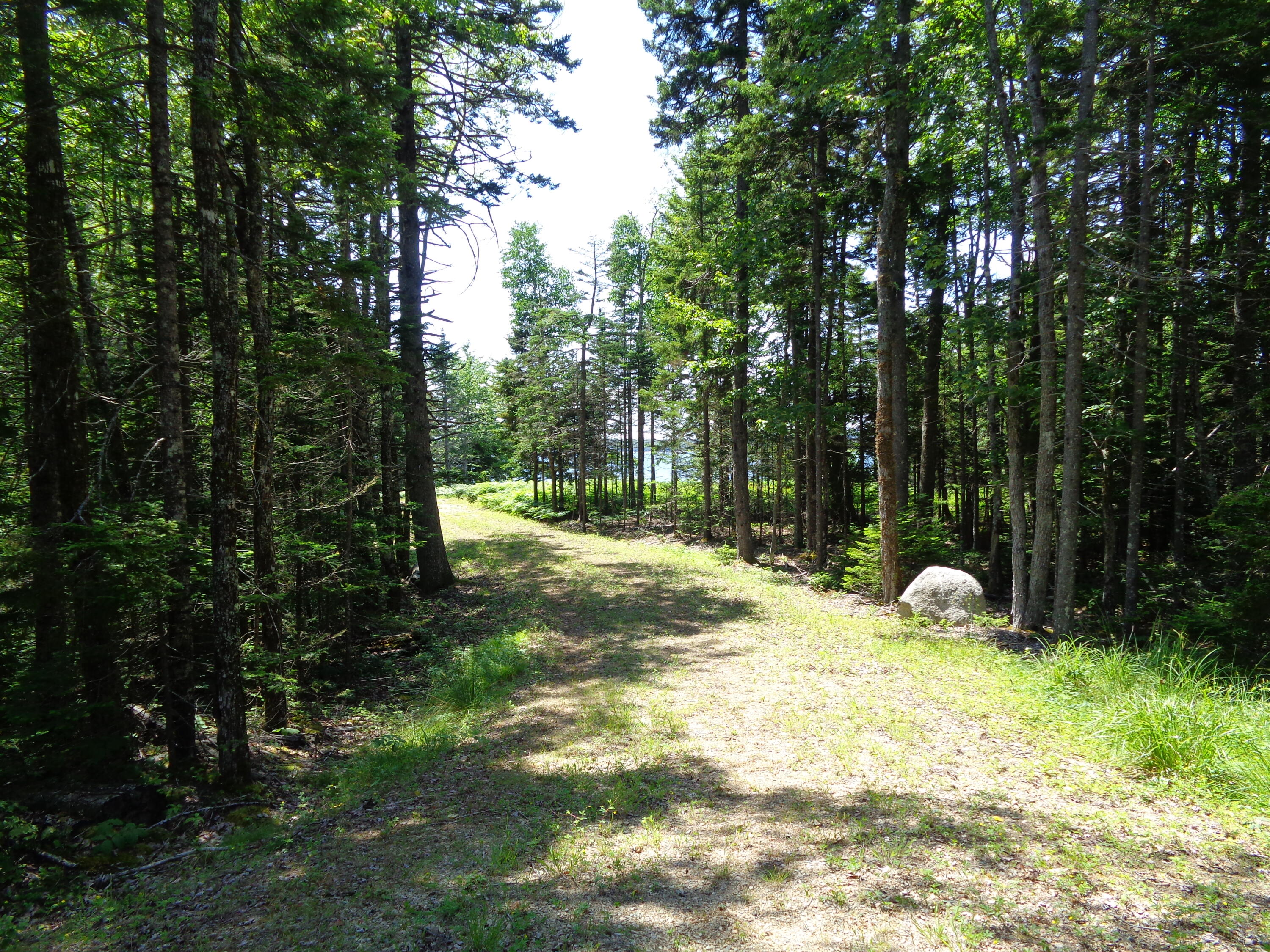 143 B Rocky Gulch Road Steuben, ME 04680 - Photo 16 of 30 Driveway