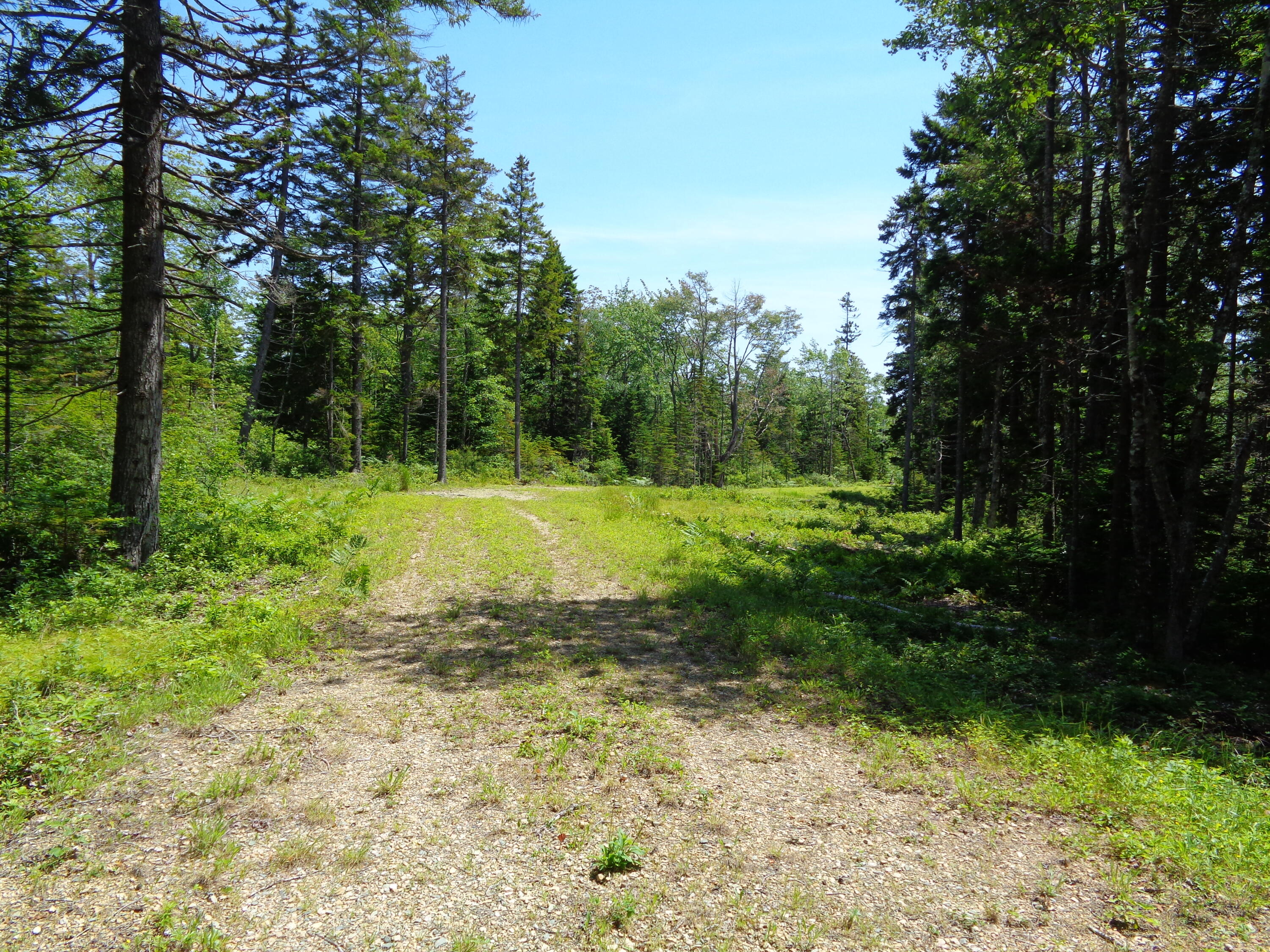 143 B Rocky Gulch Road Steuben, ME 04680 - Photo 17 of 30 Well built drive