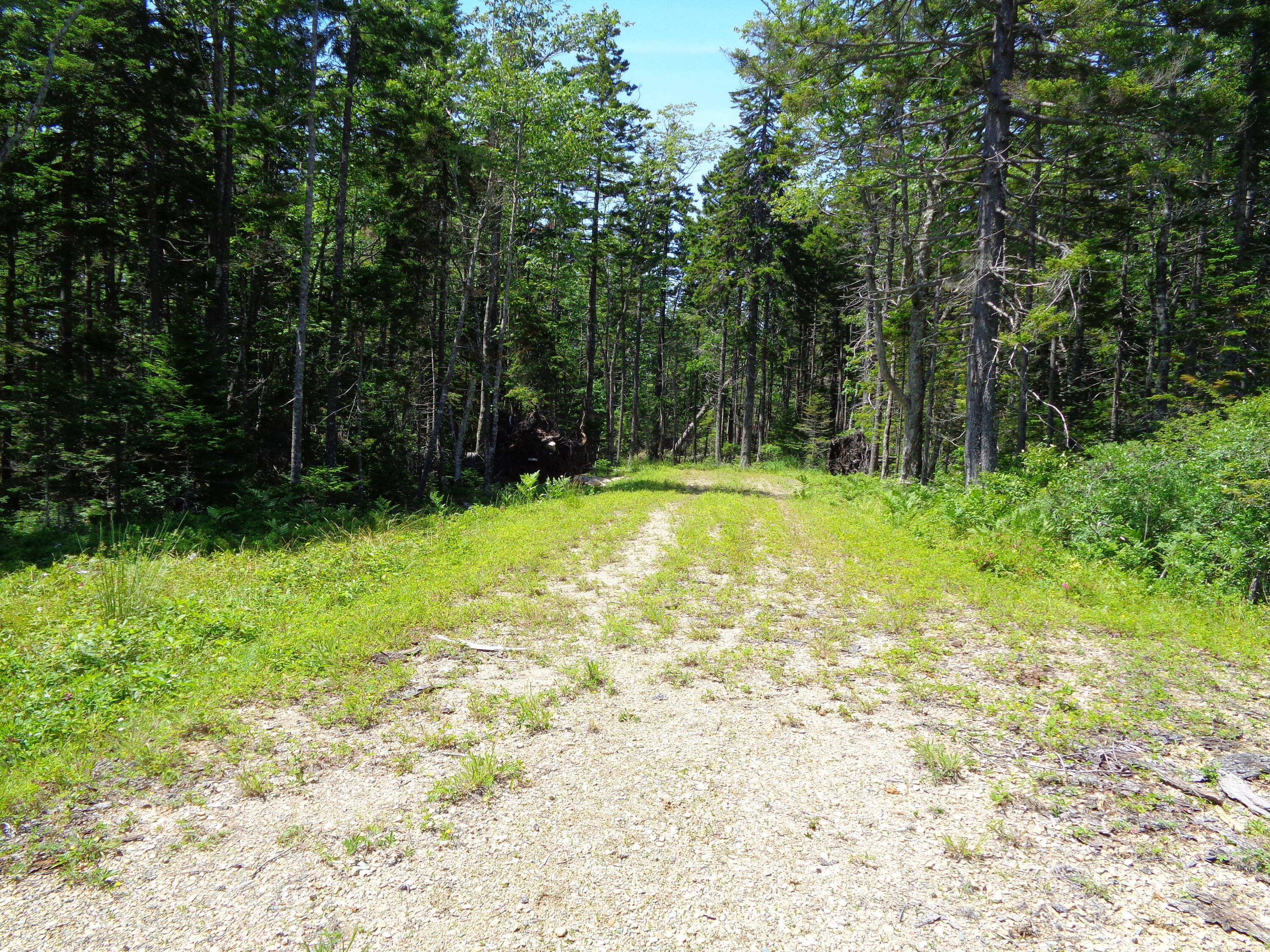 143 B Rocky Gulch Road Steuben, ME 04680 - Photo 18 of 30 Driveway