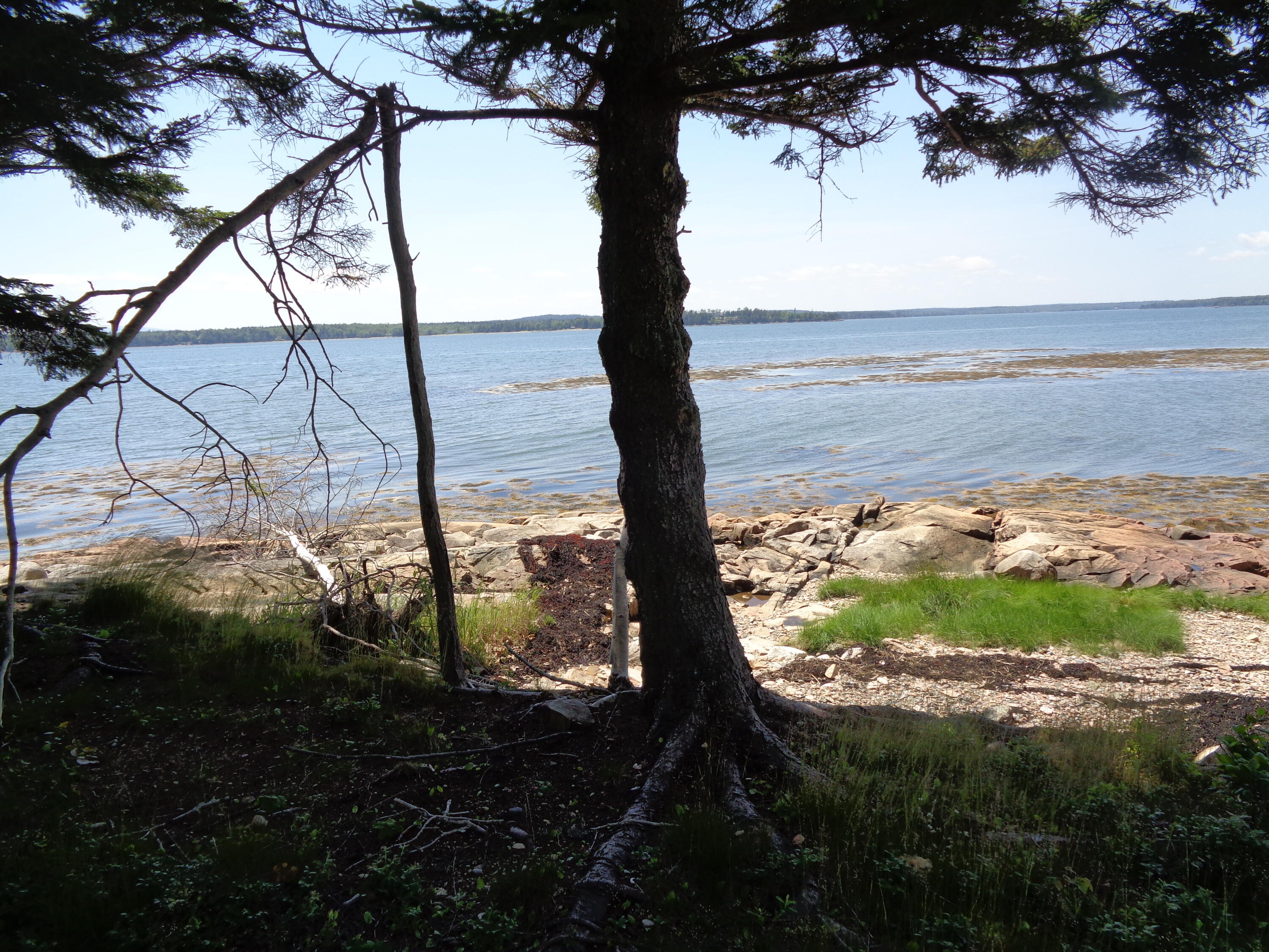 143 B Rocky Gulch Road Steuben, ME 04680 - Photo 29 of 30 View