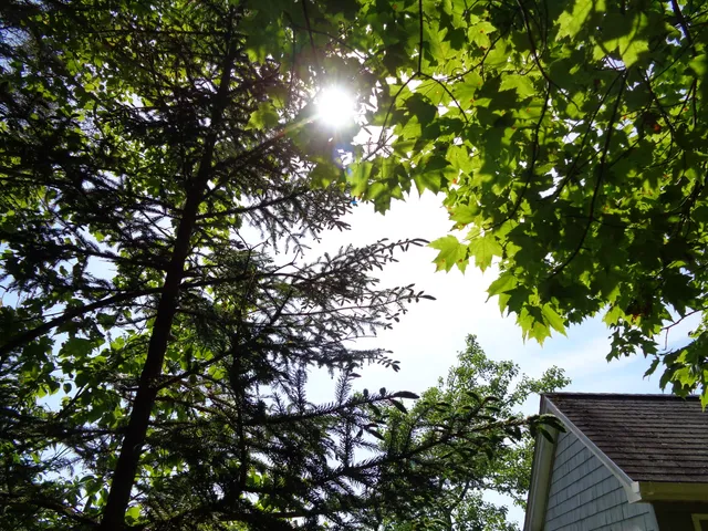 $425,000 | 143 B Rocky Gulch Road, Steuben, ME 04680