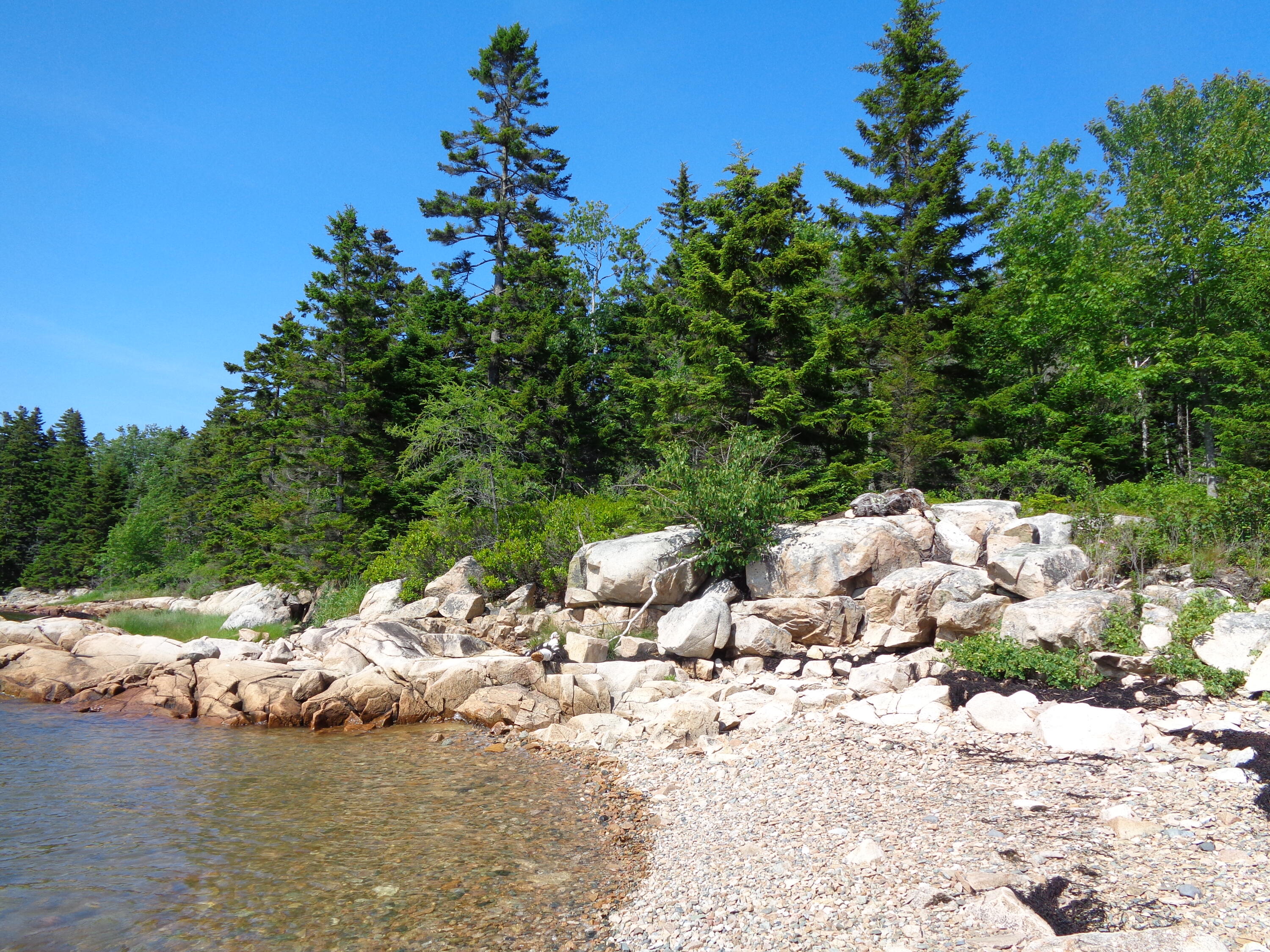 143 B Rocky Gulch Road Steuben, ME 04680 - Photo 5 of 30 Rocky shore