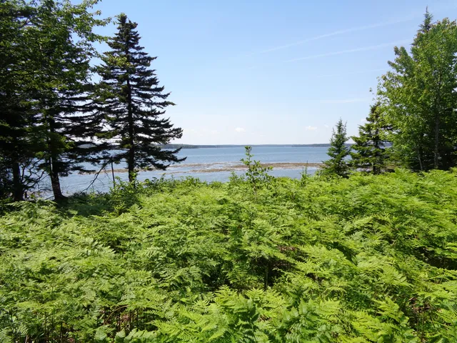 $425,000 | 143 B Rocky Gulch Road, Steuben, ME 04680